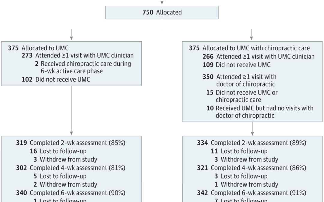 “This trial provides additional support for the inclusion of chiropractic care as a component of multidisciplinary health care